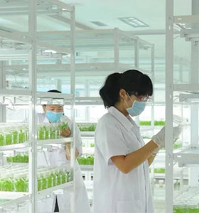 茄子视频成人在线观看仪器