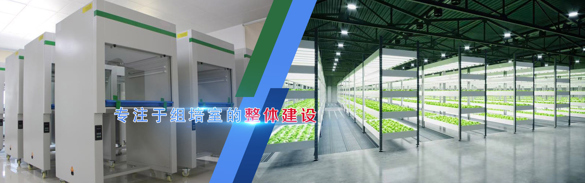 茄子视频成人在线观看、茄子视频成人在线观看架