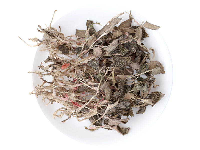 金线莲茄子视频成人在线观看室及仪器设备