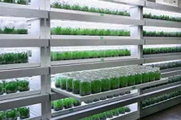 组建茄子视频成人在线观看室需要做哪些工作