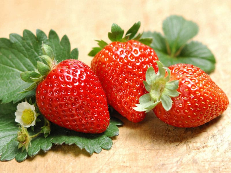 草莓茄子视频成人在线观看室及仪器设备