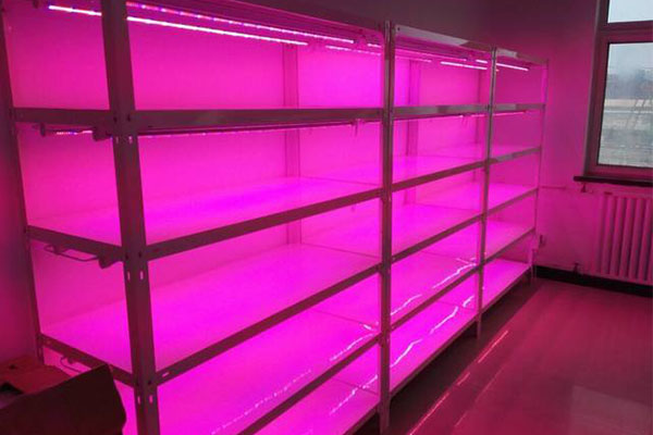 茄子视频成人在线观看仪器厂家