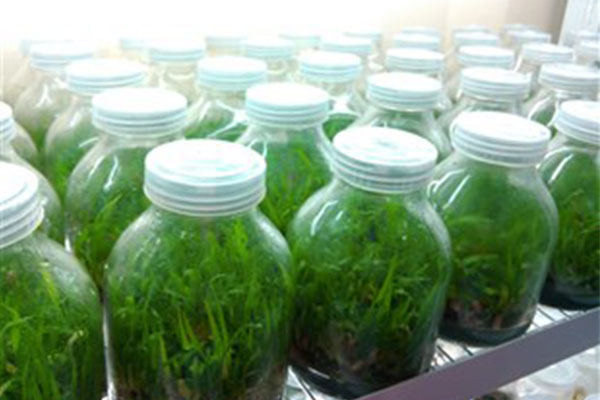 常用的茄子视频成人在线观看仪器有哪些用途以及使用方法