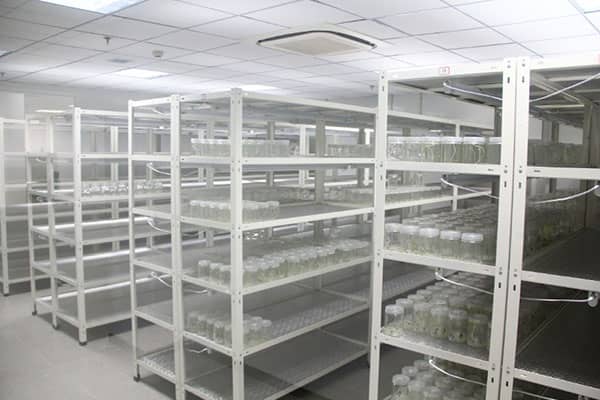 茄子视频成人在线观看架