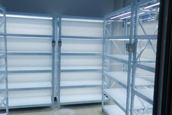 茄子视频成人在线观看架