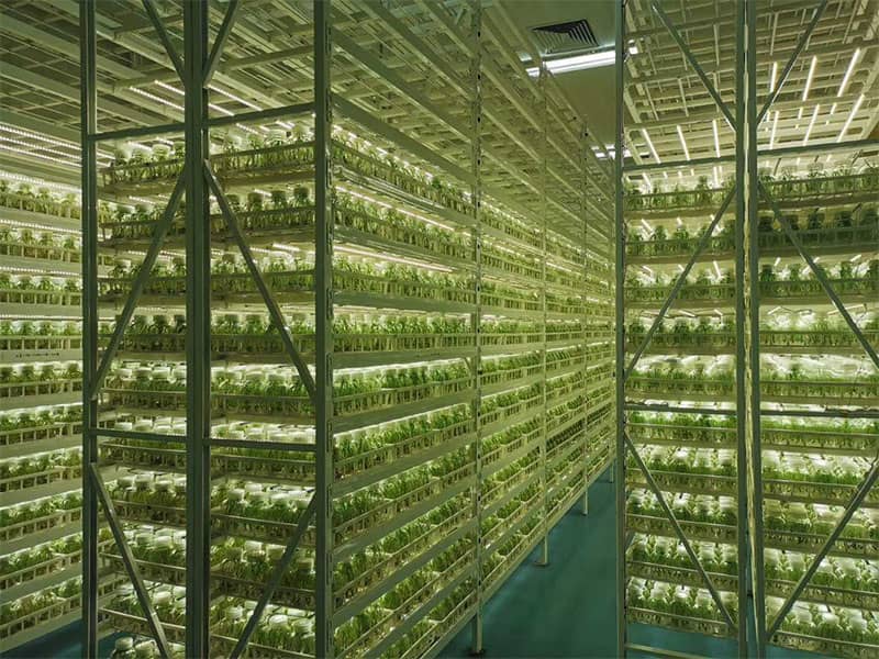 插扣式茄子视频成人在线观看架