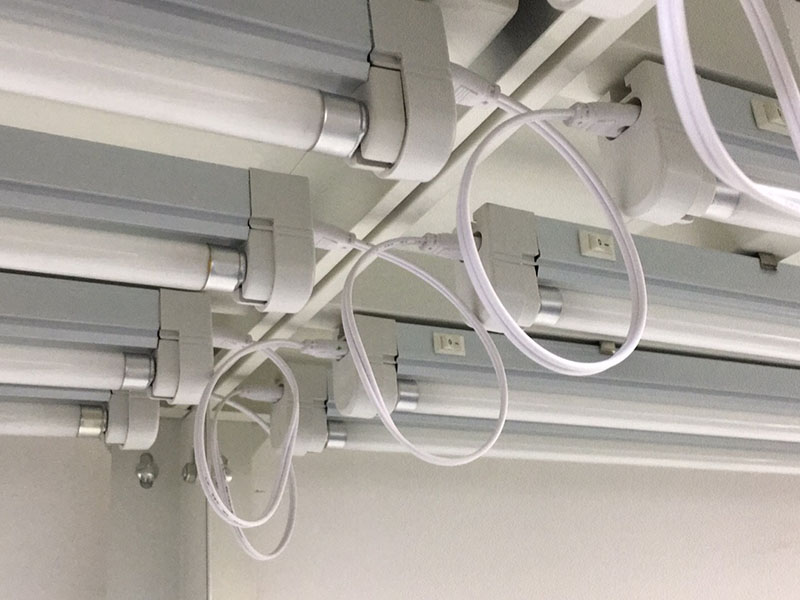 茄子视频成人在线观看灯