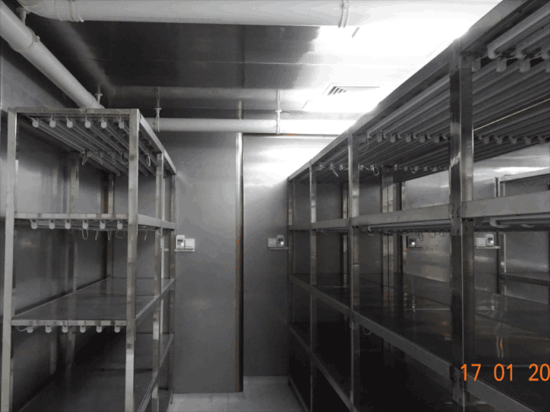 不锈钢茄子视频成人在线观看架