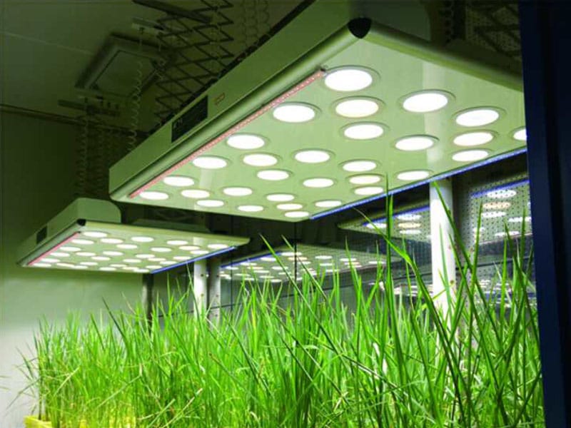 茄子视频成人在线观看灯