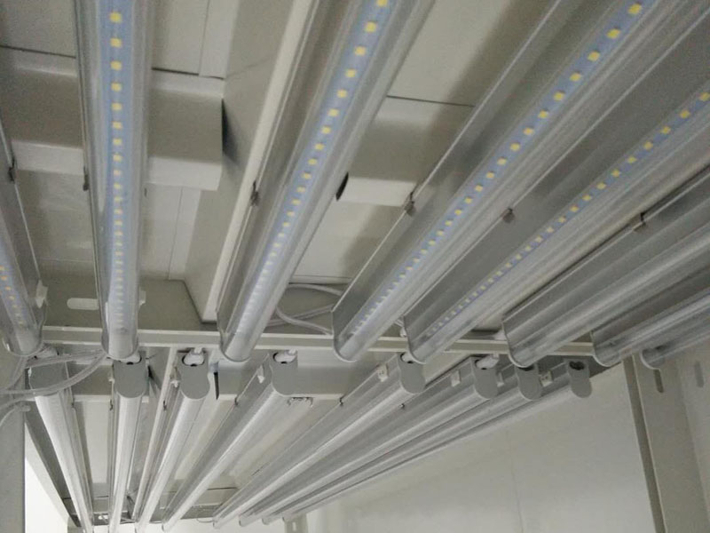 茄子视频成人在线观看