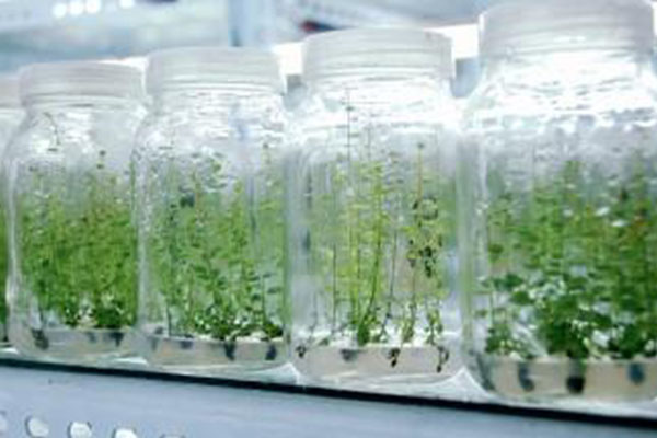 常见的茄子视频成人在线观看仪器有哪些