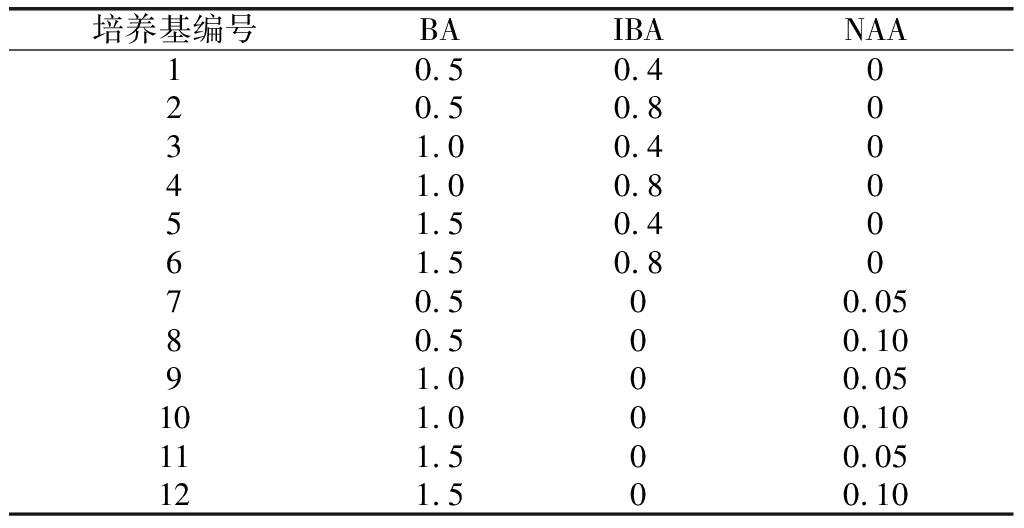 黑枸杞茄子视频成人在线观看育苗技术的研究