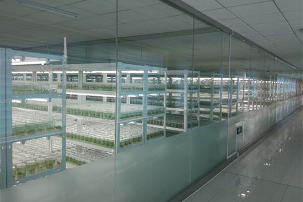 茄子视频成人在线观看室