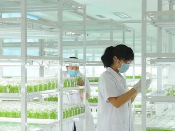 茄子视频黄色下载茄子视频成人在线观看架产品参数