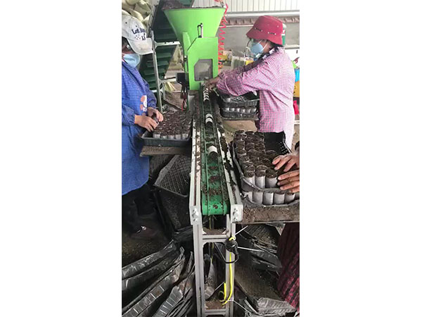 植物组织培养中的染菌及预防