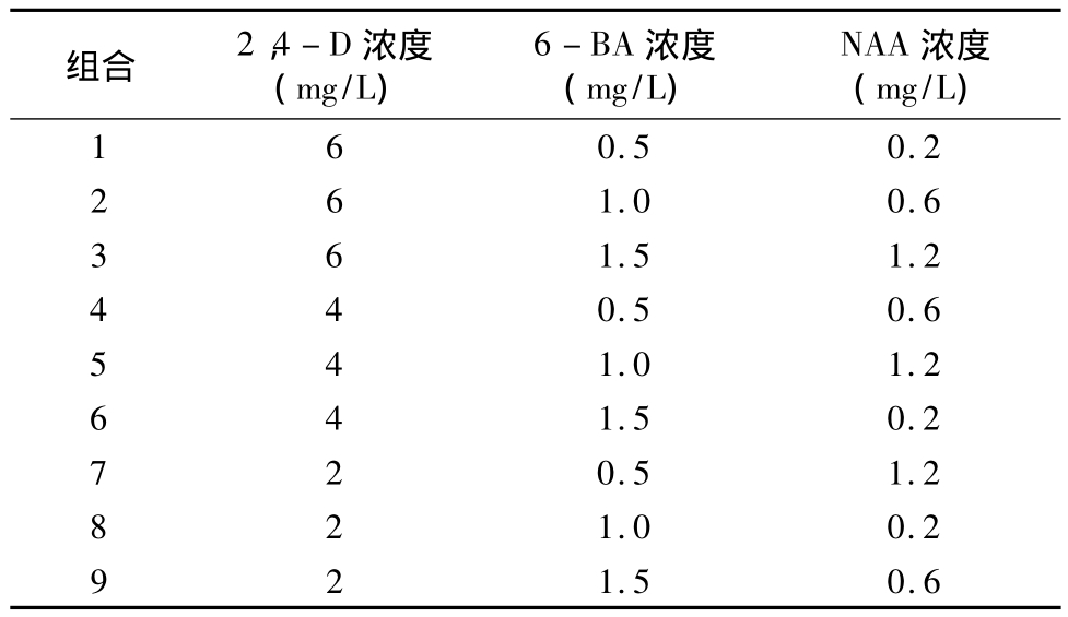 茄子视频成人在线观看实验室