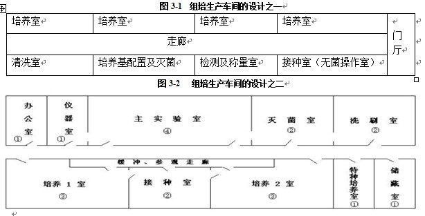 茄子视频成人在线观看室设计基本规则