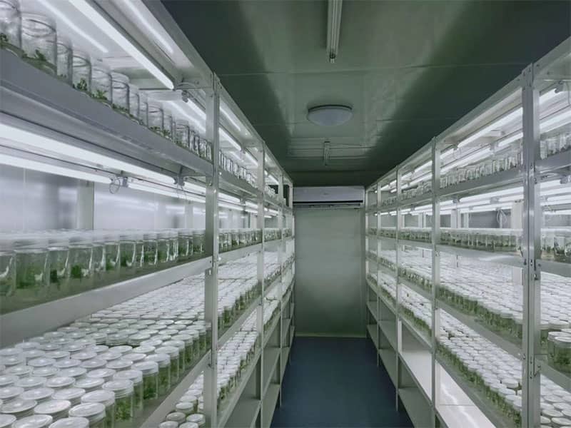 茄子视频成人在线观看  茄子视频成人在线观看架