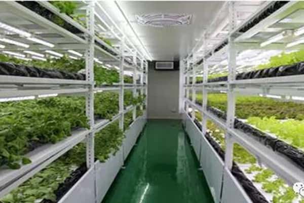 茄子视频成人在线观看