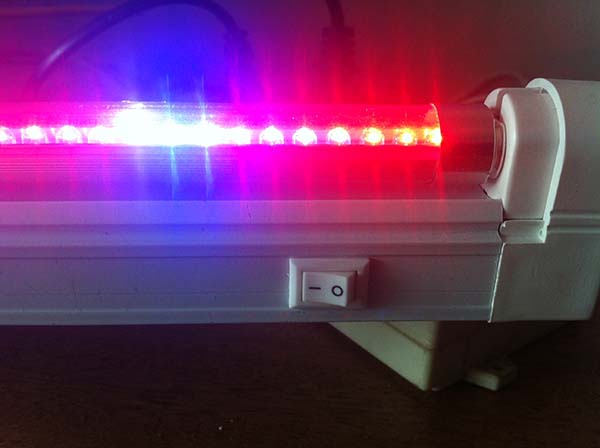 茄子视频成人在线观看  茄子视频成人在线观看设备