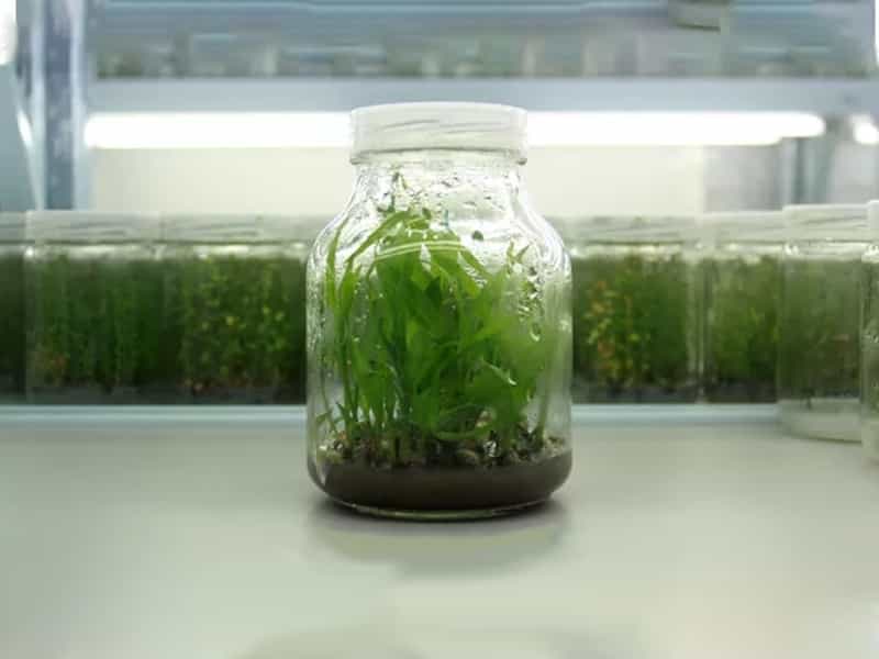 茄子视频成人在线观看  茄子视频成人在线观看瓶