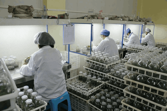 茄子视频成人在线观看室常用的仪器设备--超净台