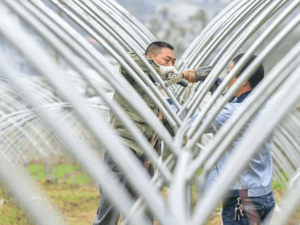 茄子视频成人在线观看设备厂家带大家了解一下拱形大棚