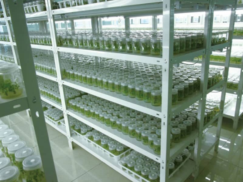 茄子视频成人在线观看  茄子视频成人在线观看设备