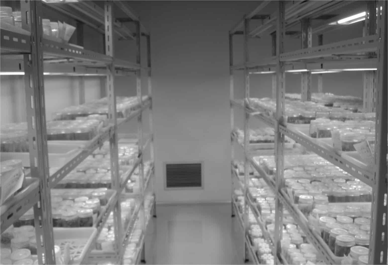 茄子视频成人在线观看生产智能化的应用前景