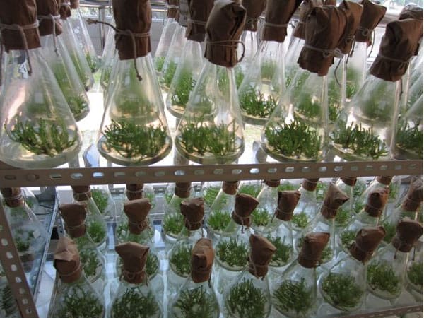 济南茄子视频成人在线观看设备低温生化培养箱的注意事项：