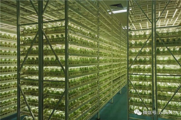 茄子视频成人在线观看仪器设备&mdash;&mdash;卧式矩形灭菌器