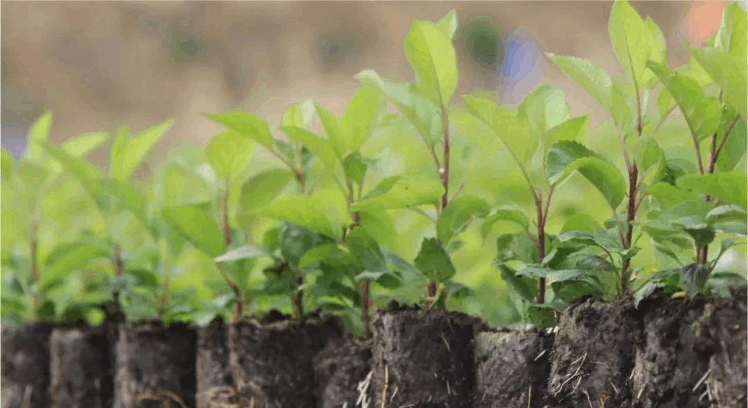 茄子视频成人在线观看室里比较常见的茄子视频成人在线观看设备1
