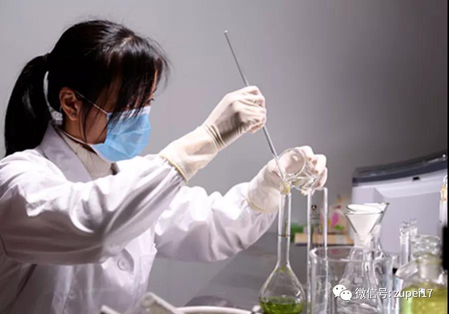 茄子视频成人在线观看