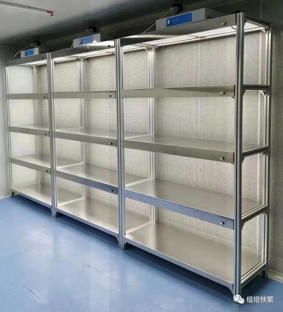 茄子视频成人在线观看架，培养架，植物茄子视频成人在线观看架，茄子视频成人在线观看室设备