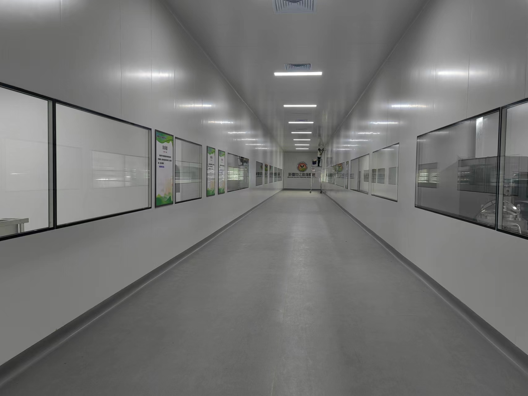 茄子视频成人在线观看室净化预算